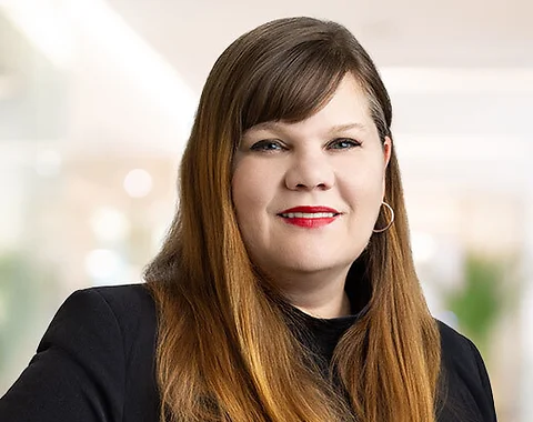 Lisa Lauer McDonald Hopkins Attorney